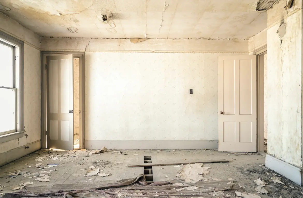 Waste disposal crew managing a cleanout project in Litchfield